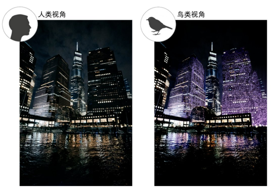 Curtain Wall Decorative Glass for Protecting Birds