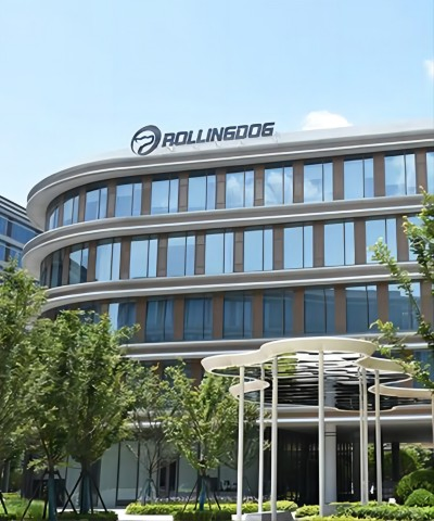 Набор кистей Rollingdog PRO 81462, 6 шт, плоские и круглые