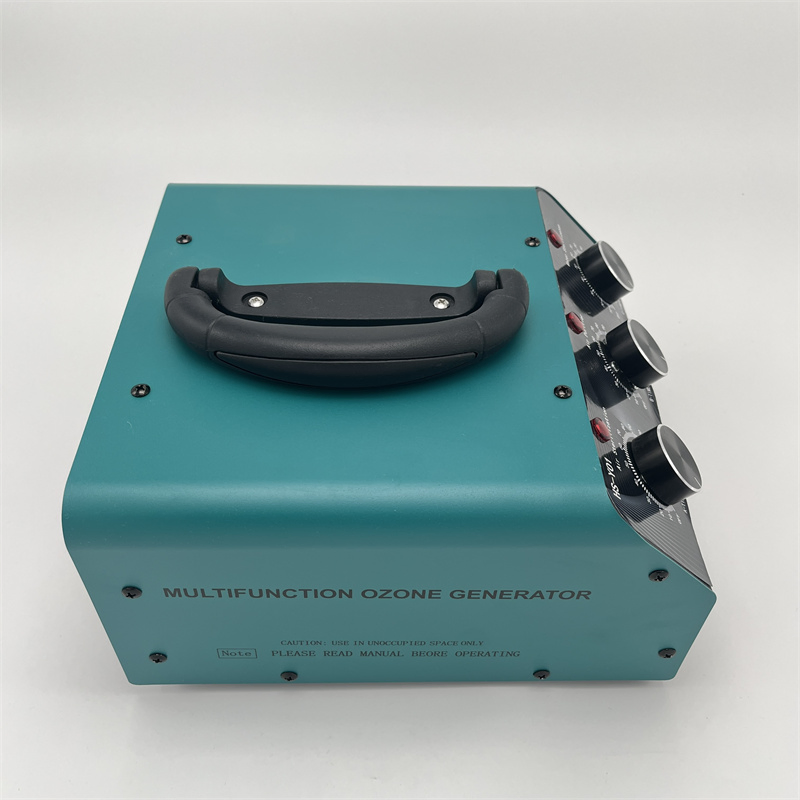 Home Treatment Air Purifier 10g Competent Manufacturer CE Portable Ozone Generator