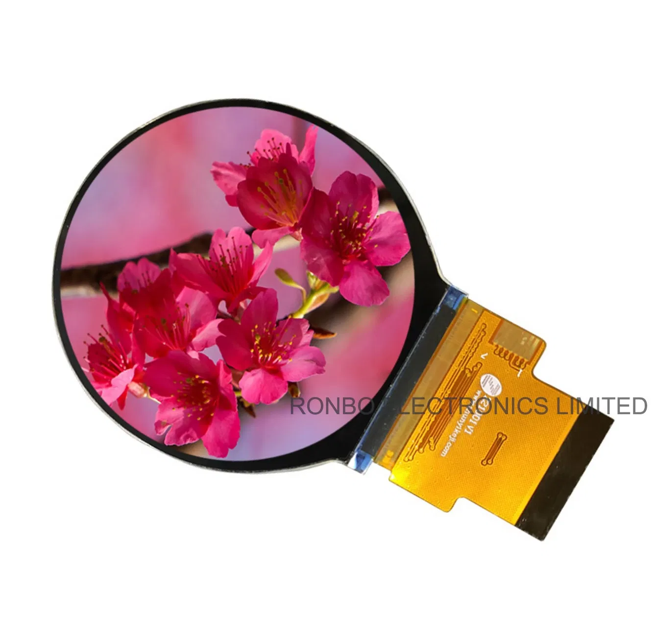 RGB Interface IPS Round LCD Display 2.1 Inch Resolution 480X480 Active Area Diameter 53.28mm