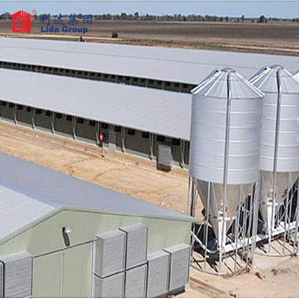 Steel Structure Poultry House for 10000 Chickens Poultry Farm