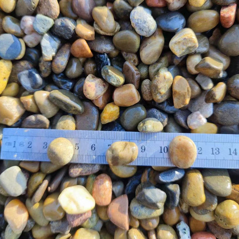 Muti Colors River Pebble Stone for Outdoor Garden Lanscaping/Paving Price