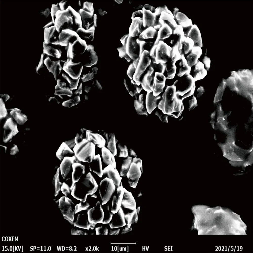 Premium Diamond Powder for Ceramic and Glass Processing From China