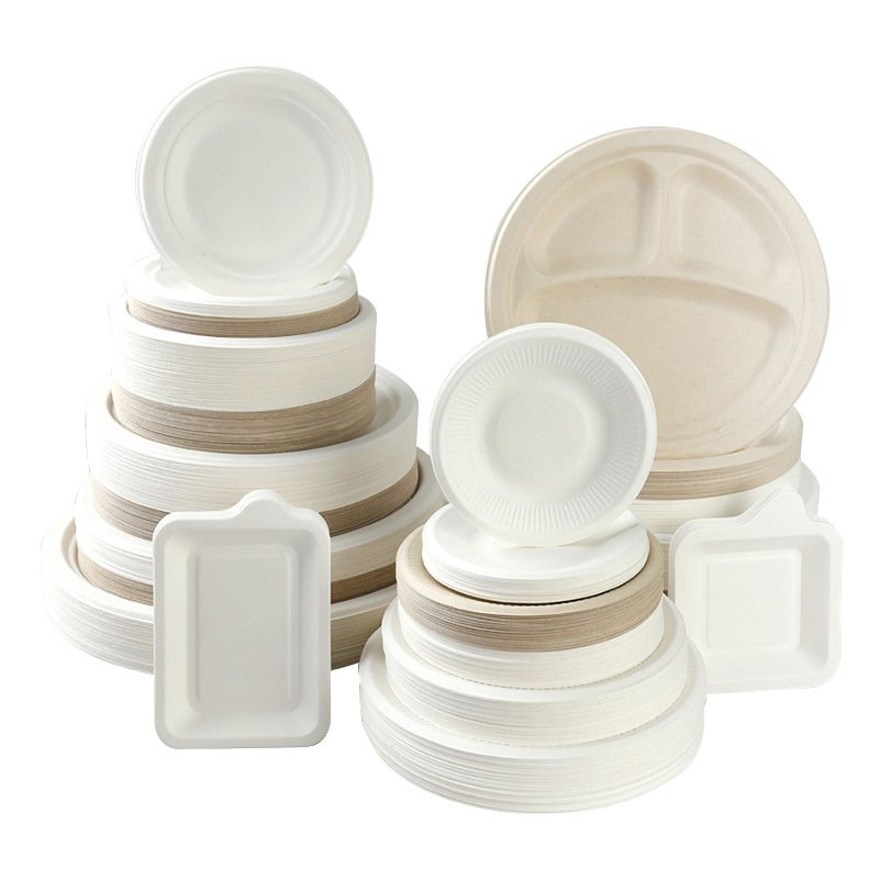 Sugarcane Bagasse Spoon Biodegradable Material Disposable Catering Product Picnic Spoon