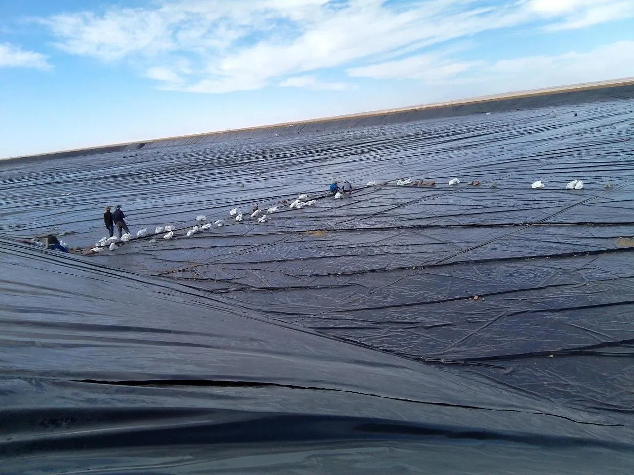 Hydraulic Projects Geotechnical Projects Environmental Projects CE ISO Certified Jinghe China Engineering Material Waterstop Belt