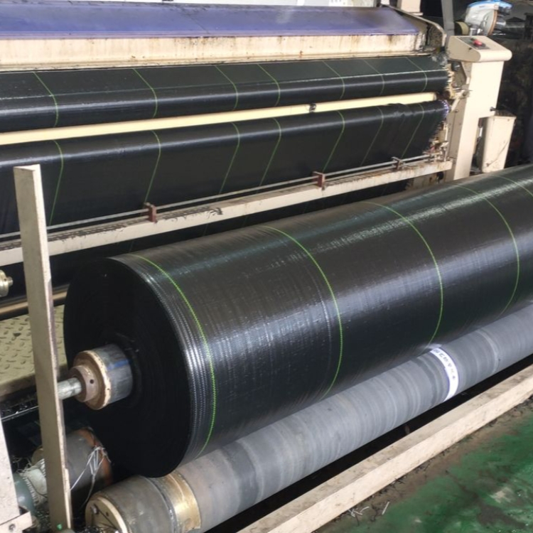 Grass Barrier Mat Landscape Fabric Ground Is Covered with The Grass Weed Barrier Fabric