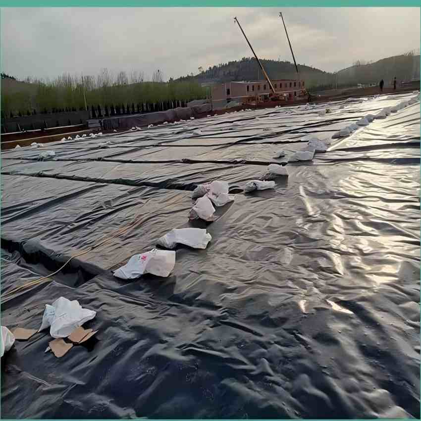 ASTM Certified Heavy Duty Geomembrane for Durable Landfill Applications Dam Landfill Lake Biogas Mining Fish Shrimp Farm Pond Liner Manufacturer Price