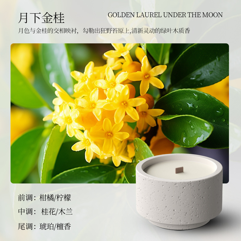 Luxury Cement Soybean Wax Wood Core Scent Fragrance Candles