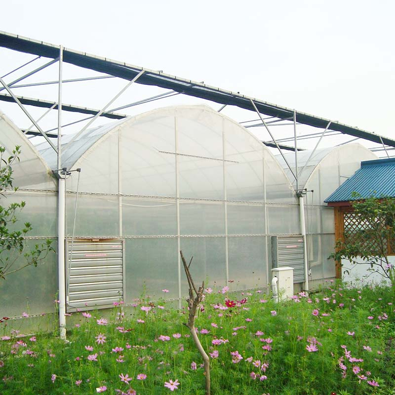 Four Season Tunnel UV Resistance Multi Span Farm Greenhouse for Vegetables Growing