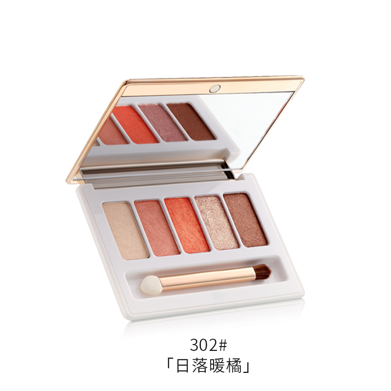 Dsm Eyeshadow Palette Private Label with Brush Mirror