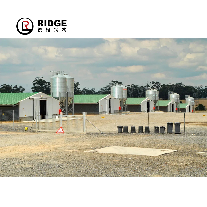 Steel Structure Prefab Chicken Cow House Design Shed Poultry Farm