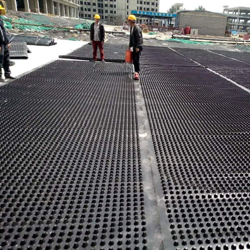 High Compressive Strength 10mm Dimpled Plastic Drainage Board Drain Board Mat Board Drainage Cell Matting Board Water Proof