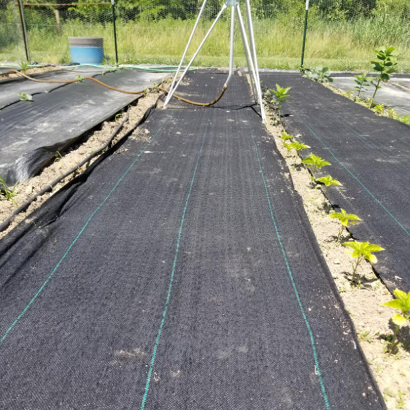 80GSM 90GSM 100GSM 110GSM 120GSM 130GSM 3-10 Years Warranty PP Weed Control Fabric Weed Mat