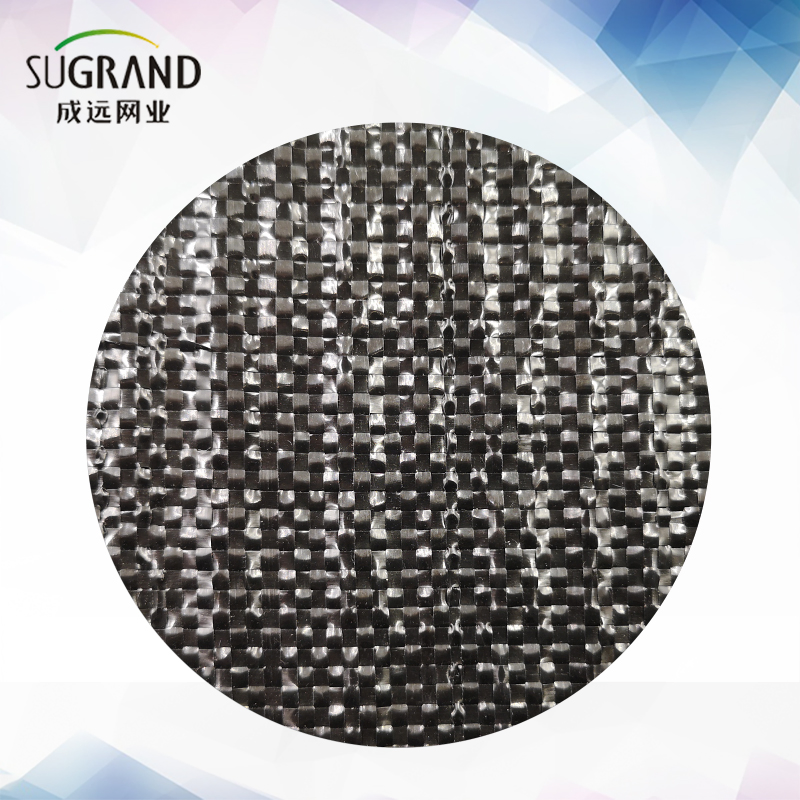 Black PP Fabric Weed Control Mat Ground Cover