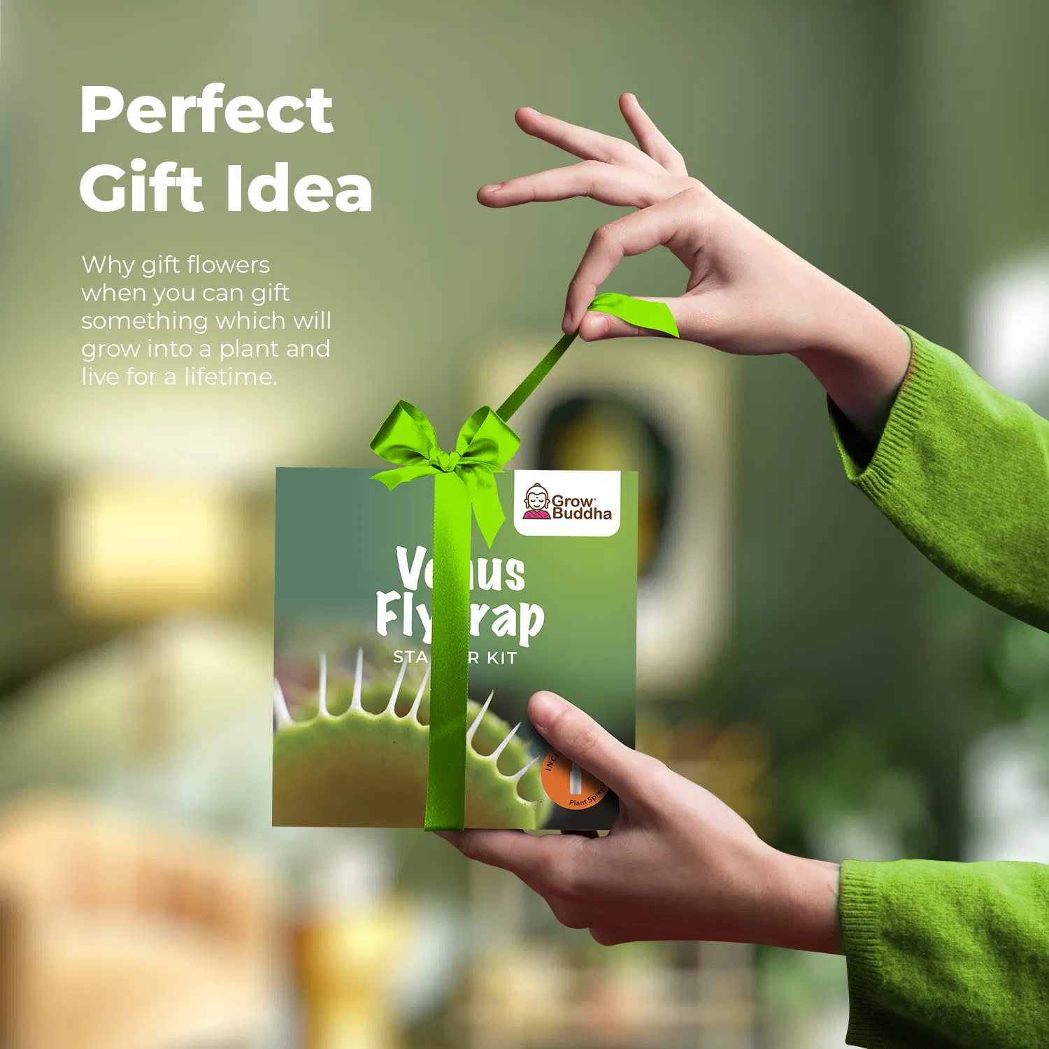 Grow Your Own Venus Flytrap Starter Kit Indoor Garden Grow Kits Venus Fly Trap Plant Seeds