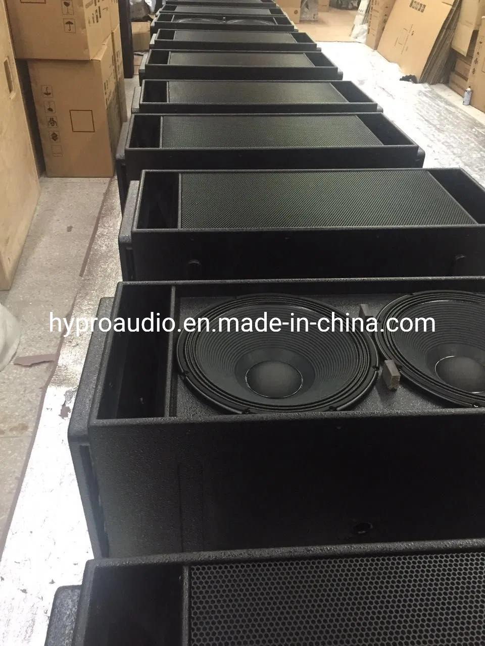 Diase 18-Inch Dual Subwoofer System for Professional Sound