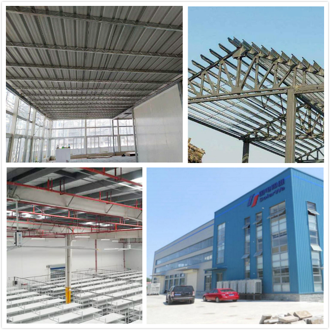 CE Low Cost Carport Garage Project, Fast Build Steel Structure Hangar/Workshop/Warehouse/Poultry House Plan