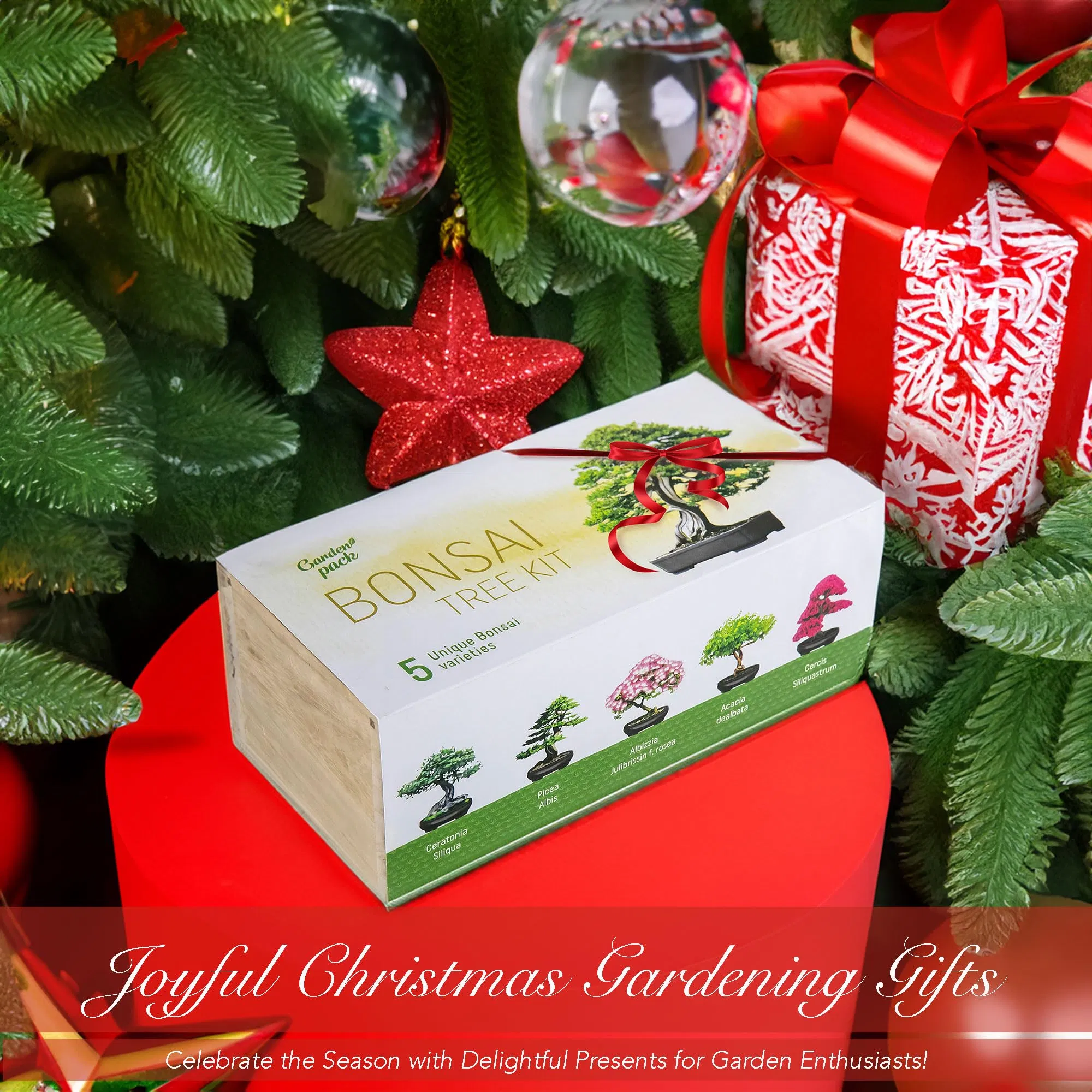 Garden Pack Grow Your Own Bonsai Tree Kit with Plant Markers Soil Moisture Light pH Meter Peat Pots Peat Pellets Pruning Scissors Miniature Gardening Tools