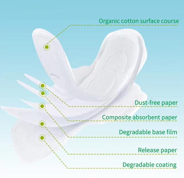 Biodegradable Thin Organic Cotton Pantyliner Free Sample OEM Sanitary Napkin for Women