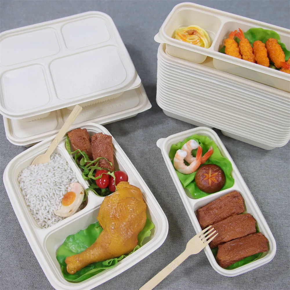 Biodegradable 3-Compartment Bagasse Tray for School Lunches with Cut-Resistant Base