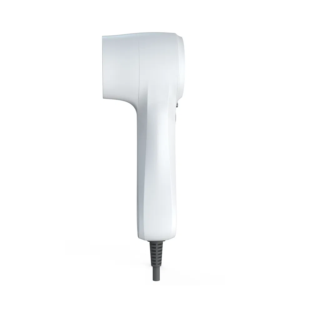 298g High-Speed Negative Ion Hair Dryer for Wholesale