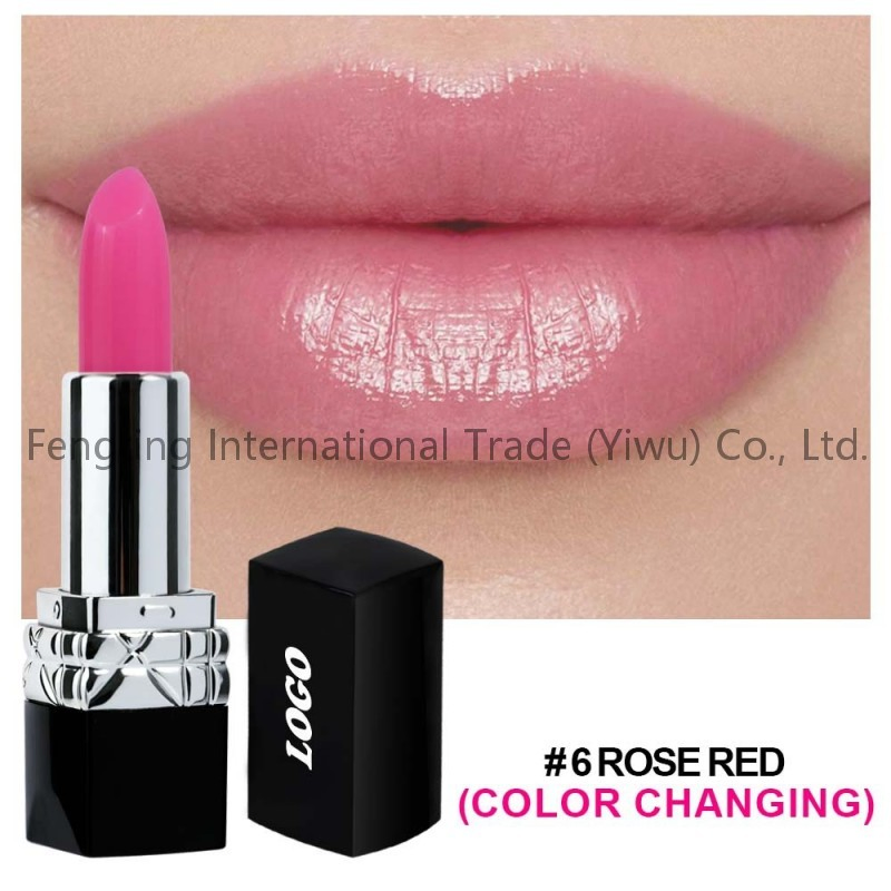 Temperature-Sensitive Lipstick Magic Color Vegan Cruelty-Free Hydrating Moisturizing Private Label Color Changing Lipstick