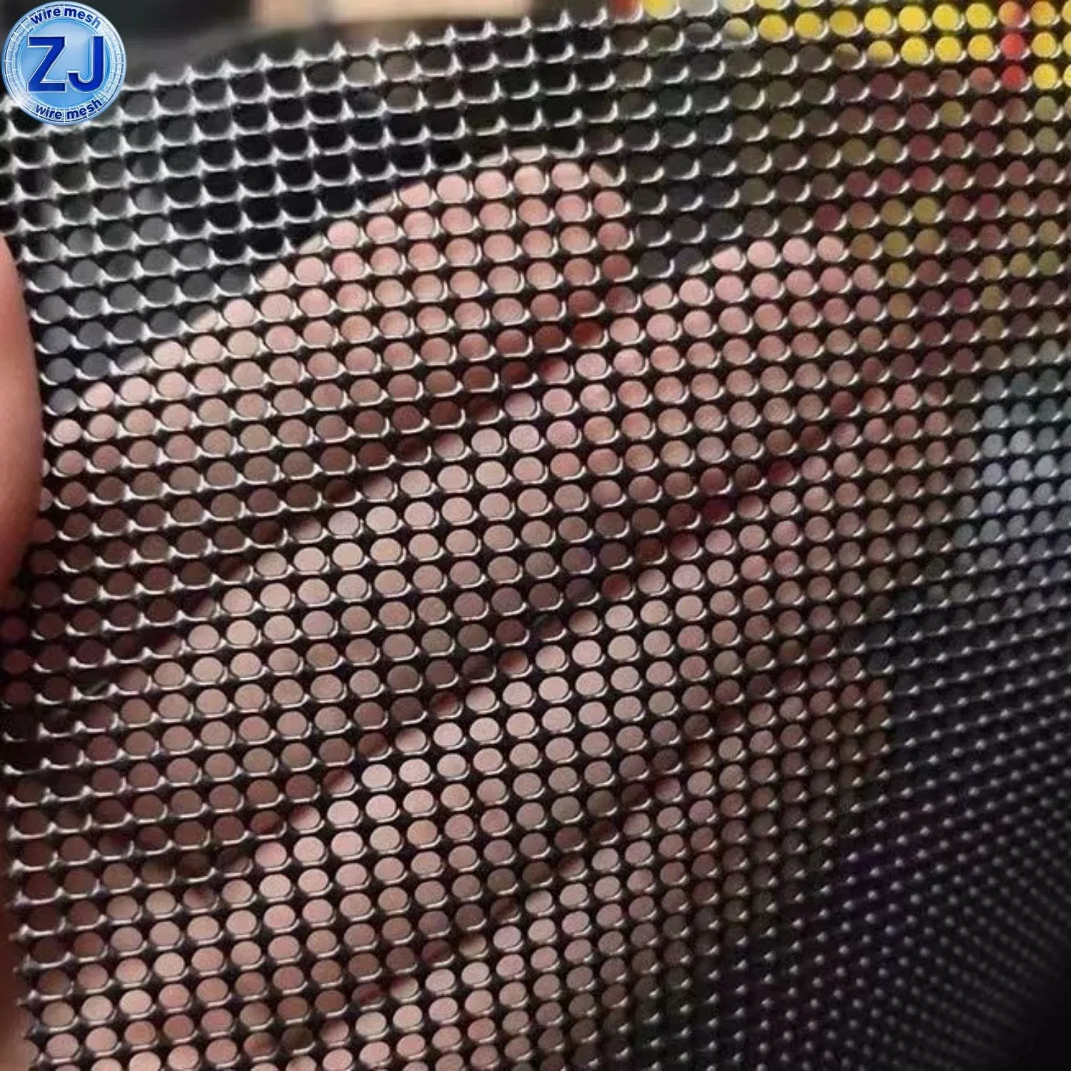 High Security SS304 Strength Transparency Protective Window Screen Wire Insect Mosquito Net Mesh