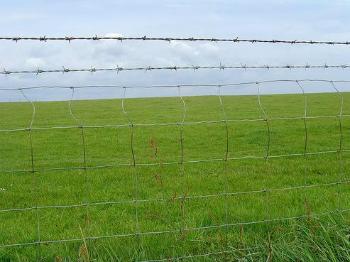 Galvanized Livestock Prevent Hinge Joint Wire Farm Field Fence