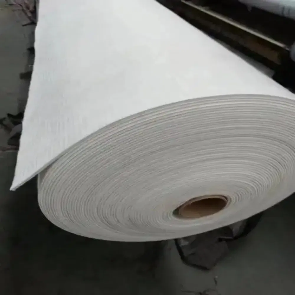 Tr Advanced Needle Punched Geotextile for Soil Filtration and Reinforcement