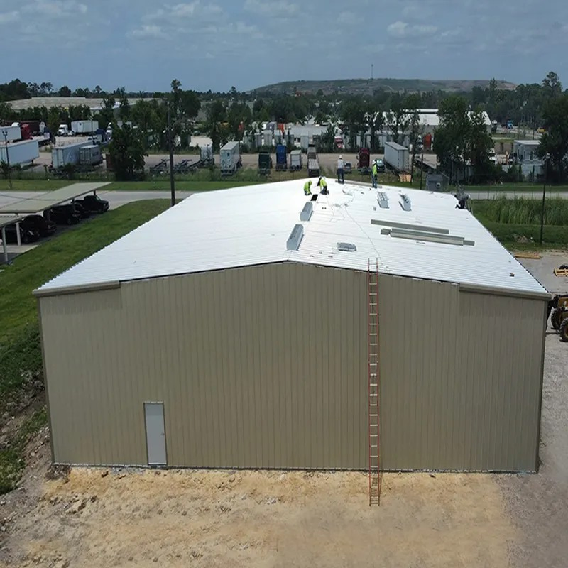 Quickly Constructed New Steel Structure Workshop & Plant Warehouse Building