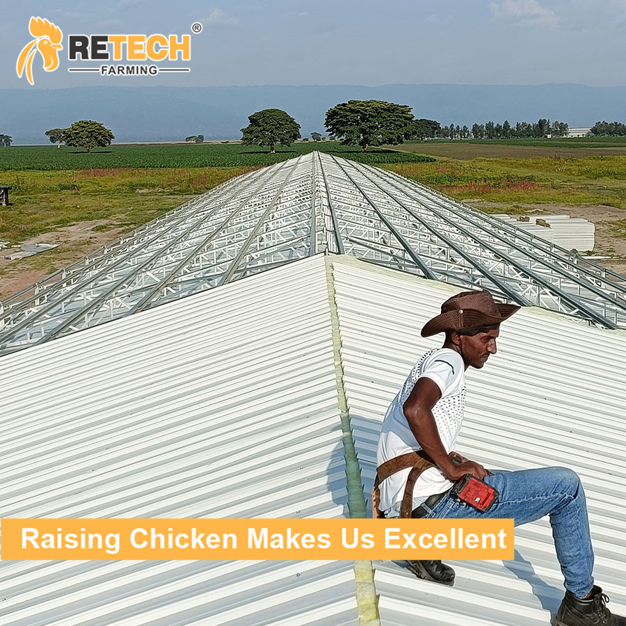 Chicken House with Chicken Cage Egg Layer and Prefab Steel in the Chicken Farm