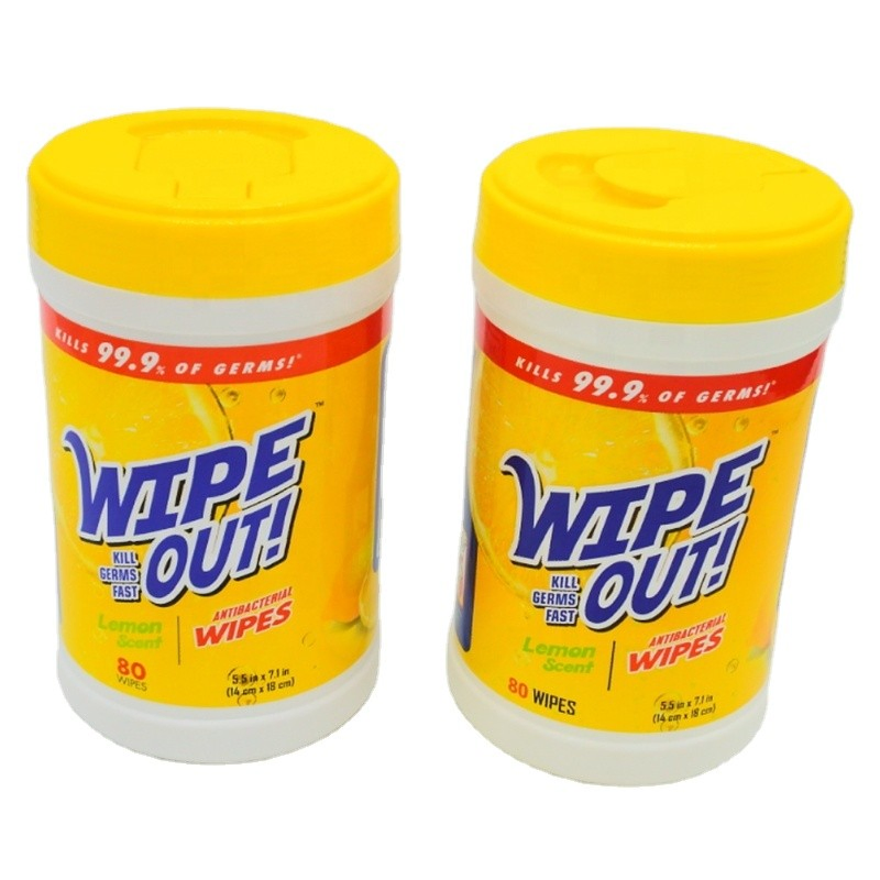 Antibacterial Disinfecting Wipes: Kills 99.9% of Germs & Viruses, Safe for Sensitive Skin, for Daily Hygiene and Protection