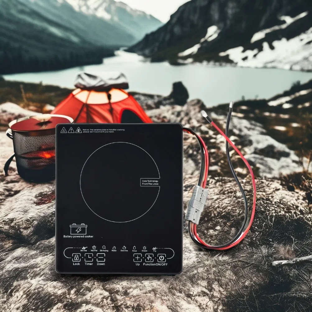 24V/48V Solar DC Battery Induction Stove Cooker