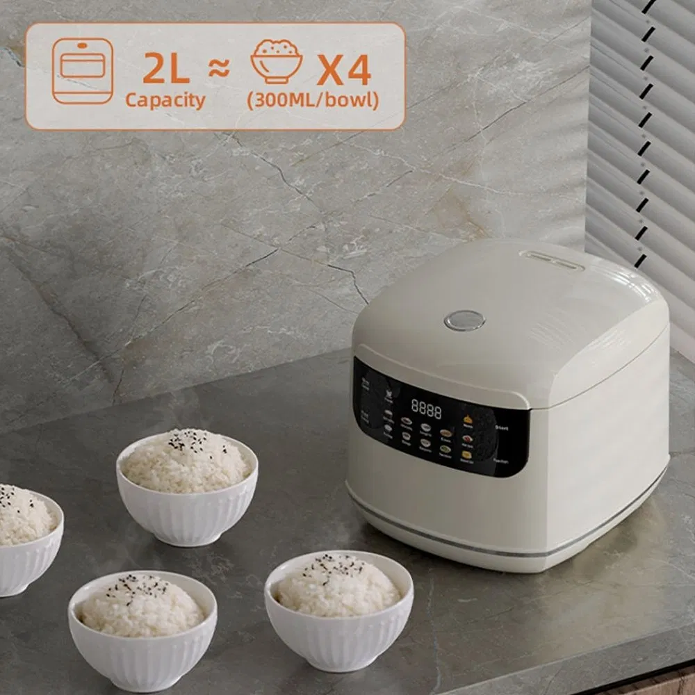 Factory Direct 110V-220 Volt Electric 2L Deluxe Rice Cooker for Manufactured Home