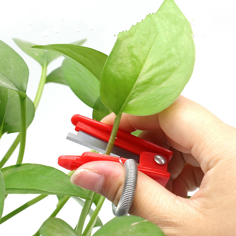 Wholesale High Quality Plastic and Stainless Steel Fruit Picker Ring Knife