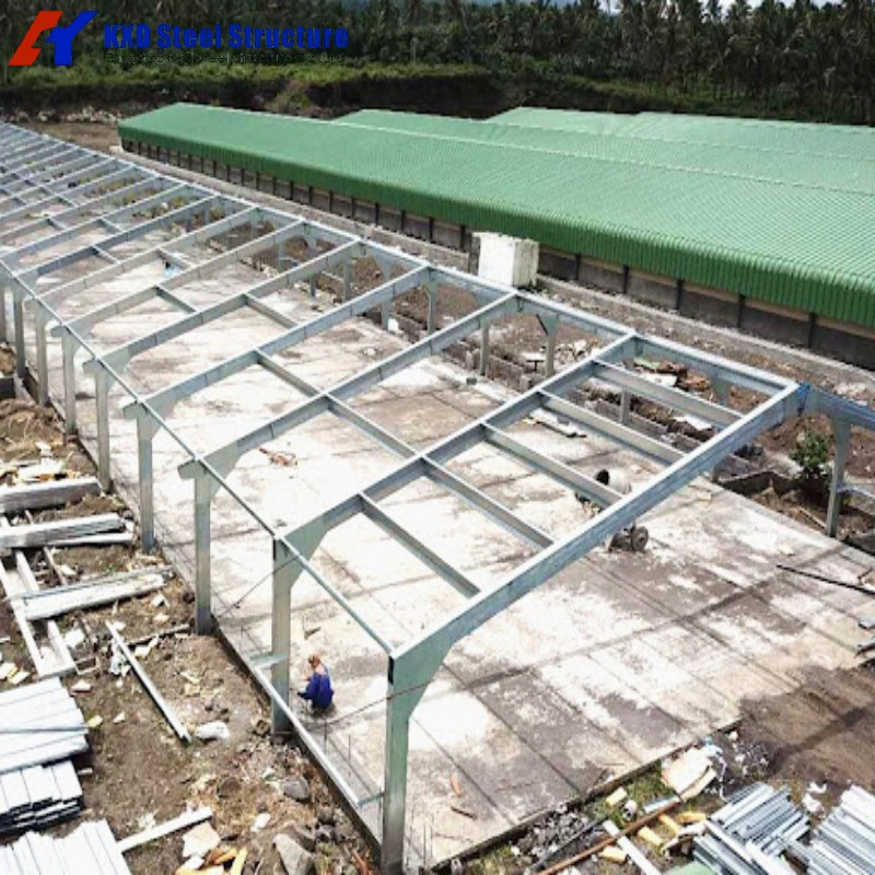 Prefabricated Light Steel Structure Poultry Farm Chicken House (KXD-PCH1)