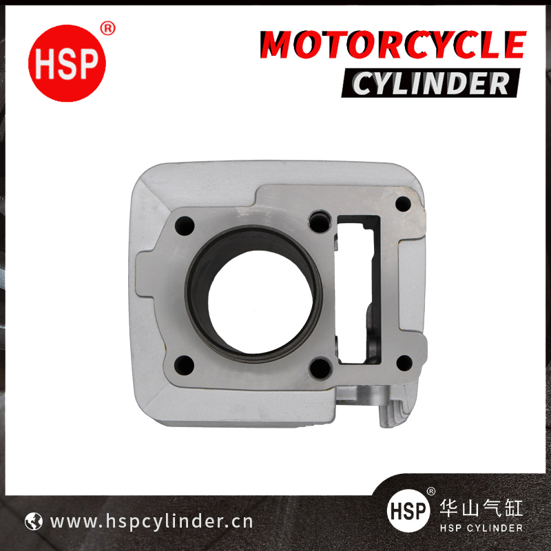 Сборочный комплект цилиндра YBR125/STX125/XTZ125 4LS-E1310-01/5VL-E1310-00
