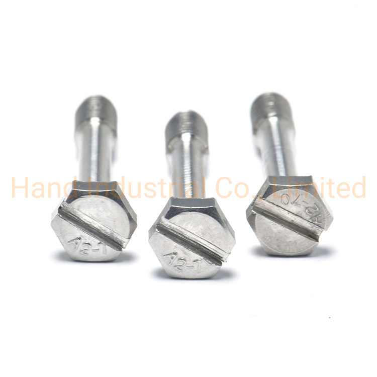 Винт стопорный M5*30 шестигранный со шлицем SS304