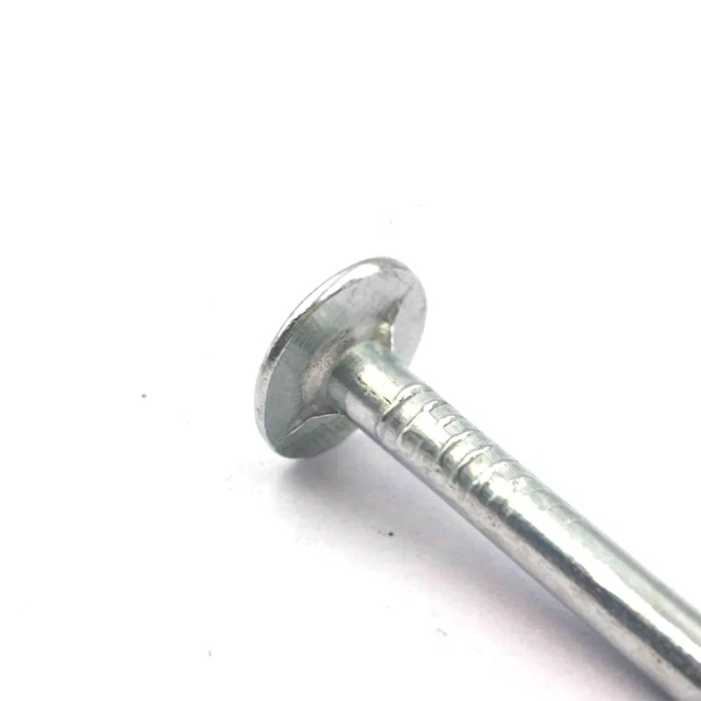 Low Price 25mm X 3 mm Flat Head Roofing Nails/Galvanized Clout Nails for Roofing/Coil Roofing Nails/Cupper Nails/Iron Nails/Galvanized Nails