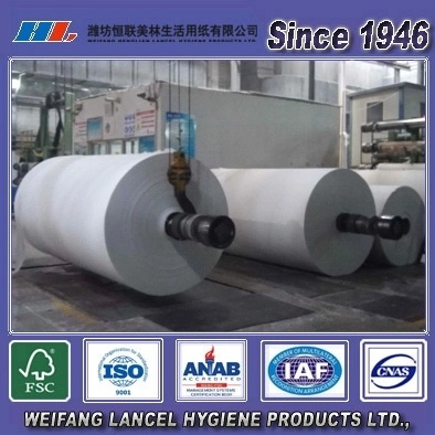 White Virgin Pulp Jumbo Roll Raw Materials for Converting and Making Napkin, Toilet, Facial Tissue and Paper Towel