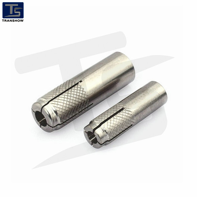 Manufacture High Quanlity of Steel / Stainless Steel Drop in Anchor Wtih Knurled