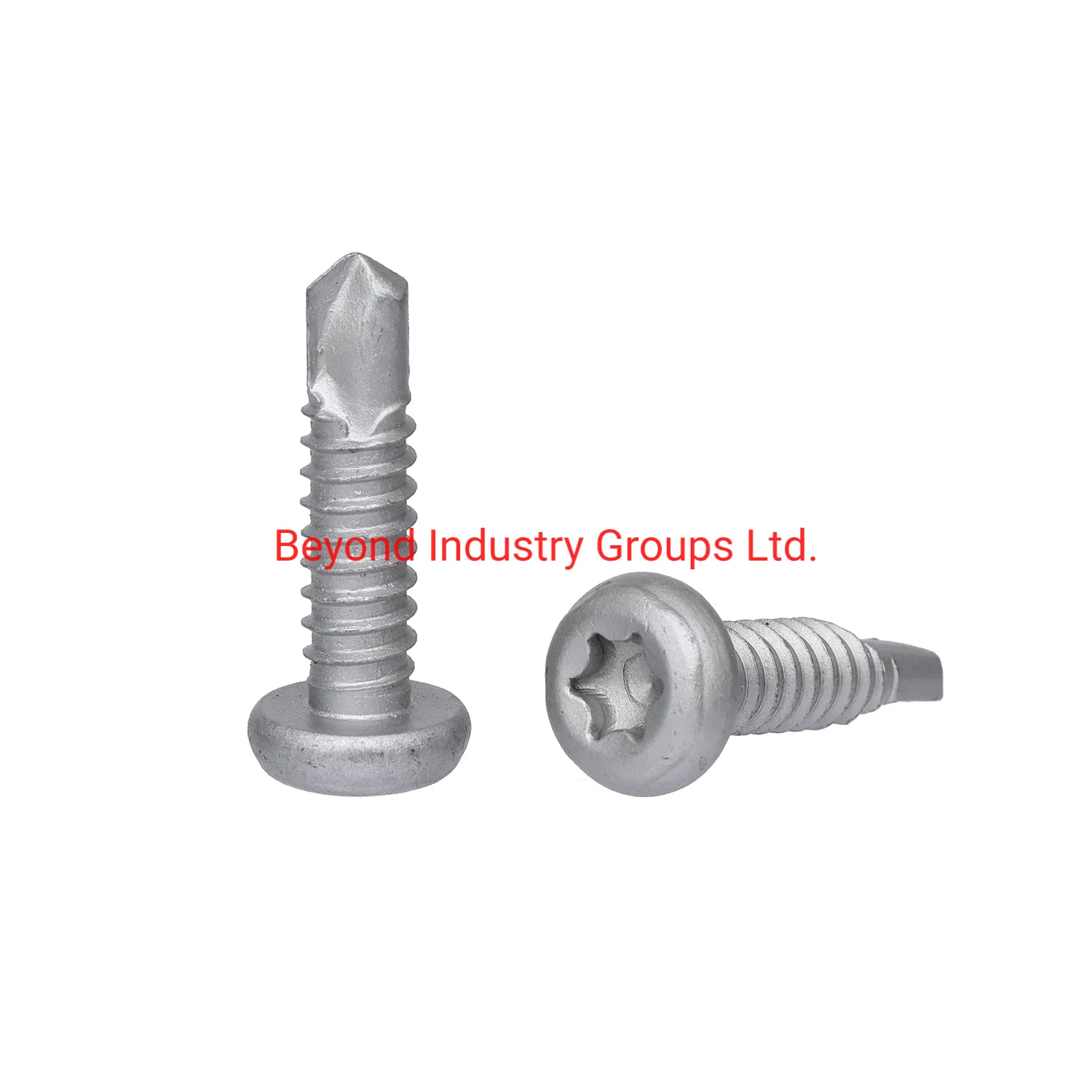 China Screw Factory Bi-Metal Screw