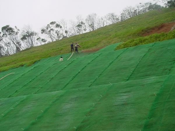 3D Geomat /Erosion Control Mat PP and PE