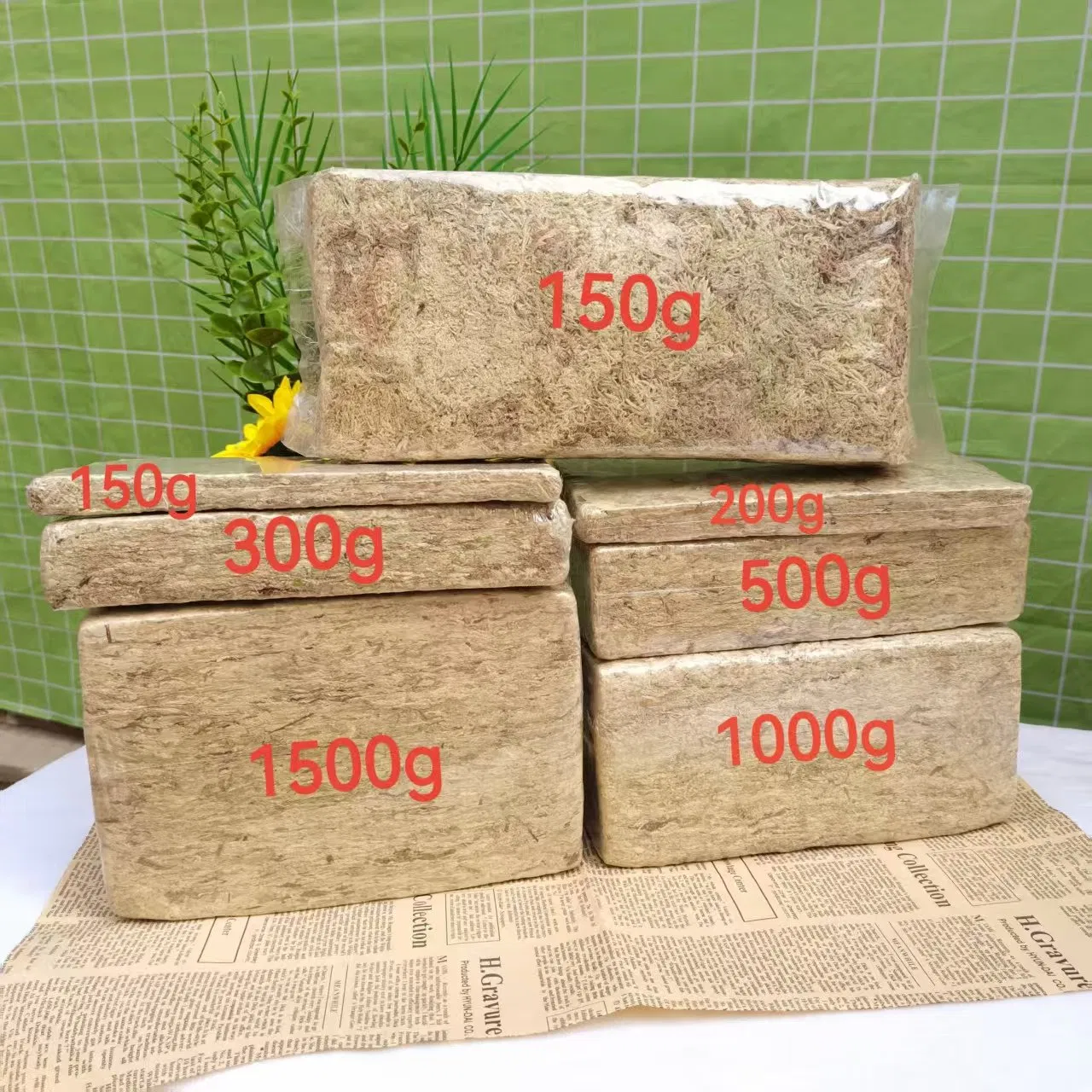 Strong Water Absorption Natural Cushioning Sphagnum Moss for Orchids & Christmas Decor
