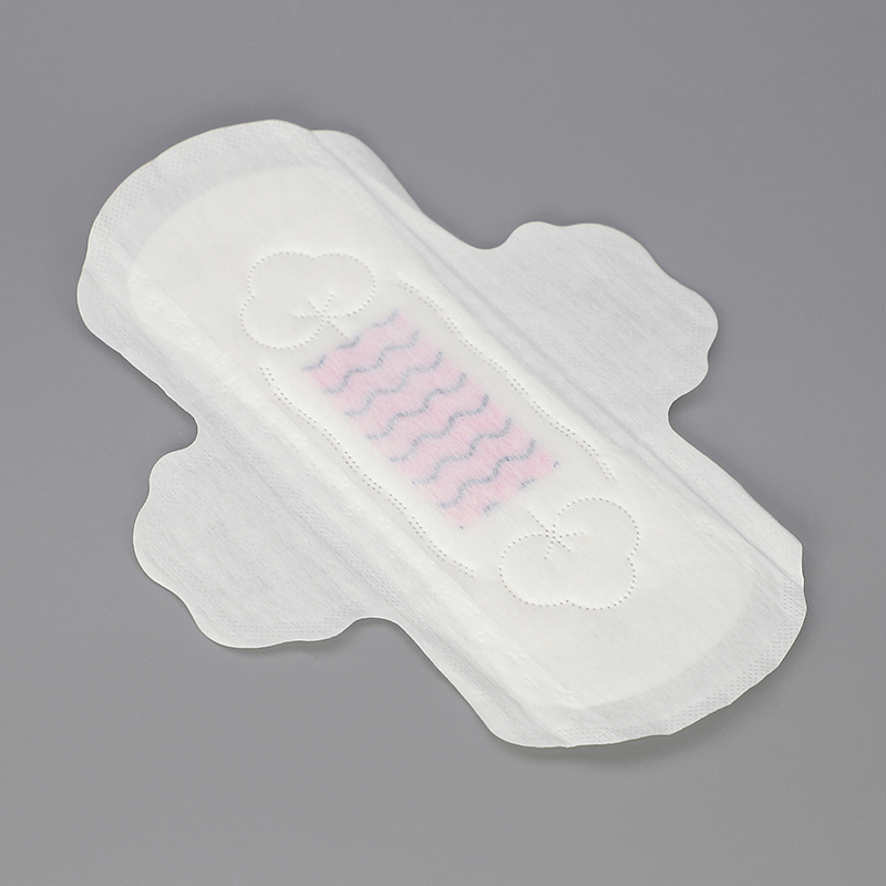 Disposable Adult Wearing Lady Diaper Girl Menstrual Period Diapers Women Pad Sanitary Pants Wholesale Biodegradable Sanitary Napkins Maxi Thick Sanitary Nappies