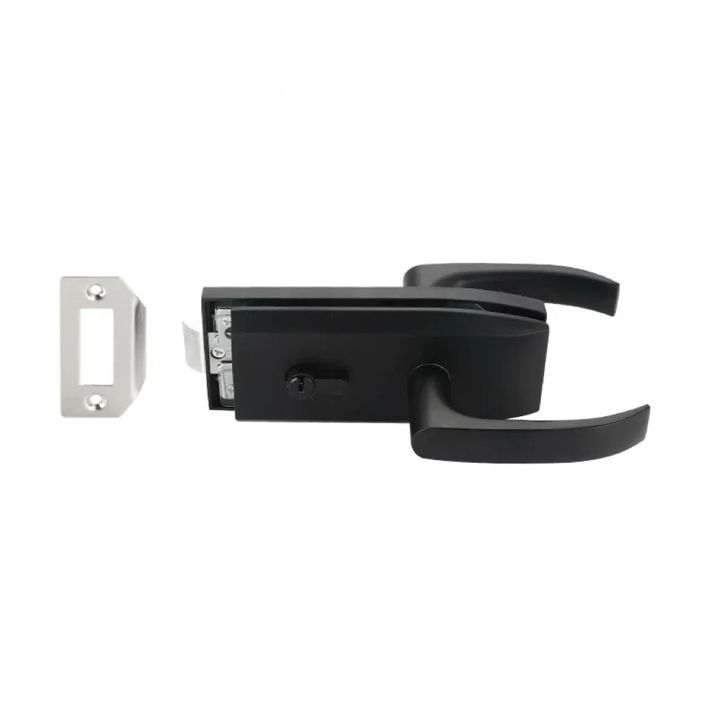Zinc Alloy Frameless Glass Lock with Fixed Handle for Glass Door
