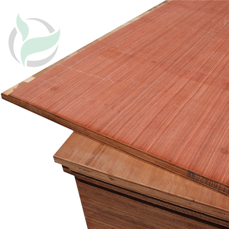 High-Quality 28mm Waterproof Birch Plywood for Shipping Containers