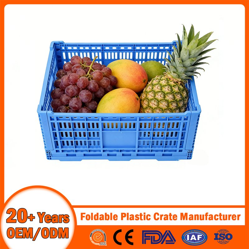 China Plastic Crate Manufacturer PP Foldable Nestable Plastic Lobster Crate Bale Arm Logistic/Brad/Egg/Bear Crate Food Grade Vegetable/Fruit Plastic Crate