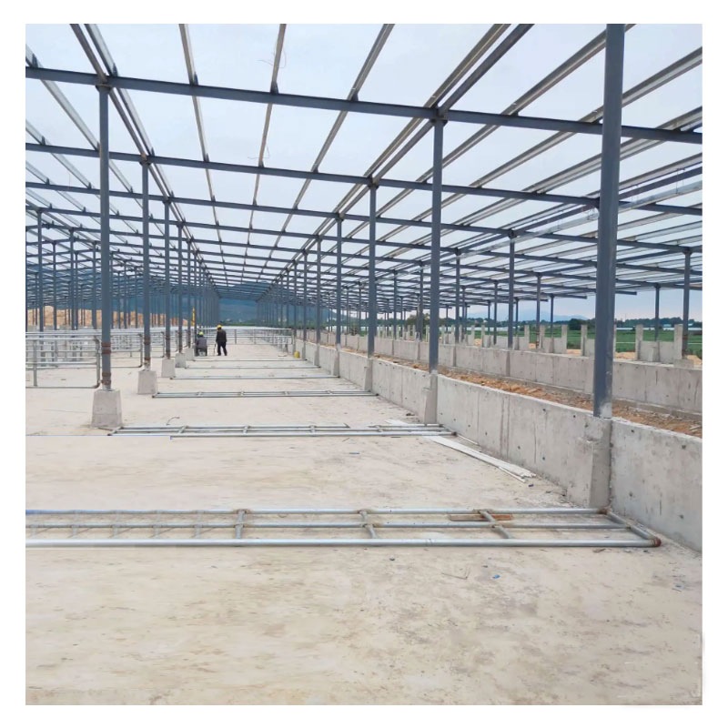 Storage Poultry Chicken Poultry Farm Shed Low Price Prefab Steel Structure Dairy Cow Shed