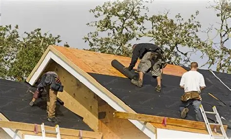 Best Asphalt Shingle Underlayment Ice and Water Shield for Roofs